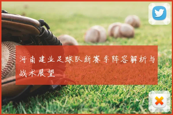 河南建业足球队新赛季阵容解析与战术展望
