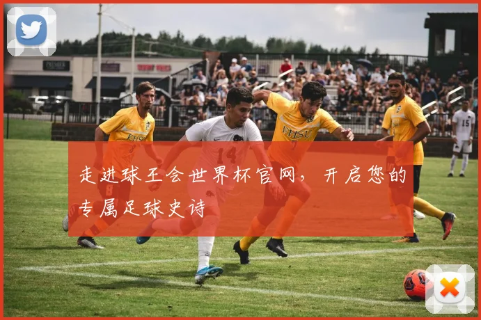 走进球王会世界杯官网，开启您的专属足球史诗