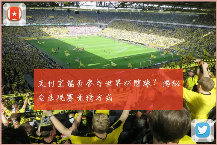 支付宝能否参与世界杯赌球？揭秘合法观赛竞猜方式