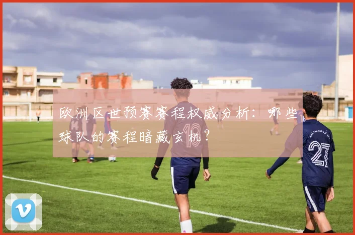 欧洲区世预赛赛程权威分析：哪些球队的赛程暗藏玄机？