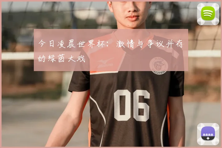 今日凌晨世界杯：激情与争议并存的绿茵大戏