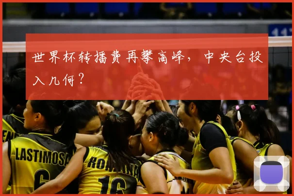 世界杯转播费再攀高峰,中央台投入几何?