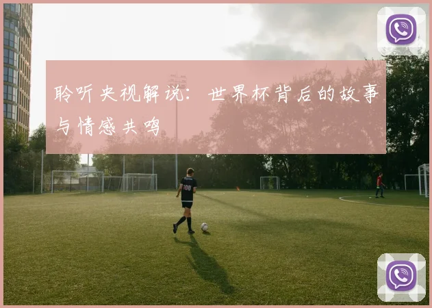 聆听央视解说：世界杯背后的故事与情感共鸣