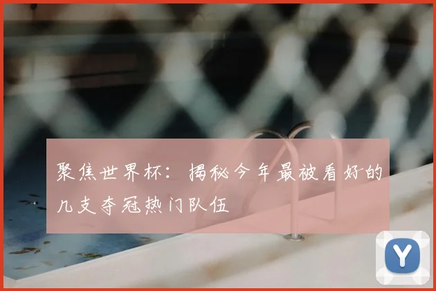 聚焦世界杯:揭秘今年最被看好的几支夺冠热门队伍