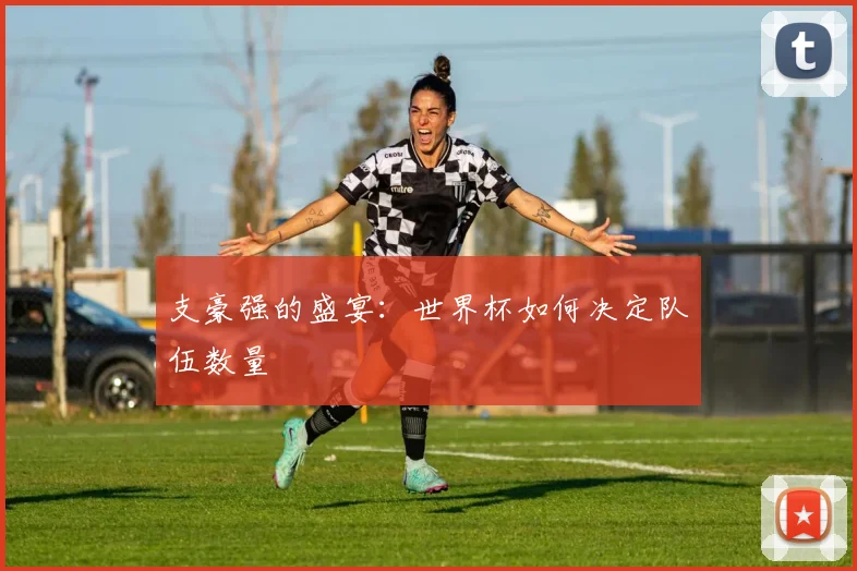 支豪强的盛宴：世界杯如何决定队伍数量