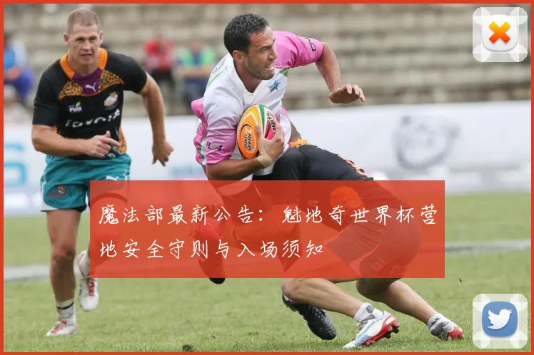 魔法部最新公告：魁地奇世界杯营地安全守则与入场须知